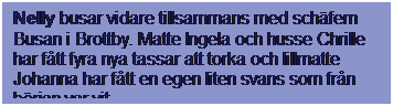 Textruta: Nelly busar vidare tillsammans med schfern Busan i Brottby. Matte Ingela och husse Chrille har ftt fyra nya tassar att torka och lillmatte Johanna har ftt en egen liten svans som frn brjan var vit.
.
